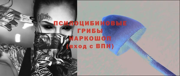 прущие грибы Арсеньев