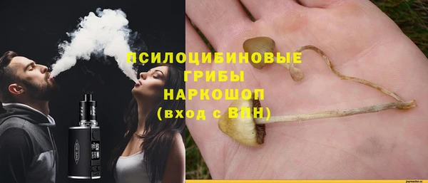 прущие грибы Арсеньев