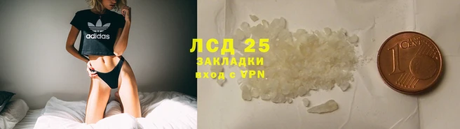 винт Аркадак