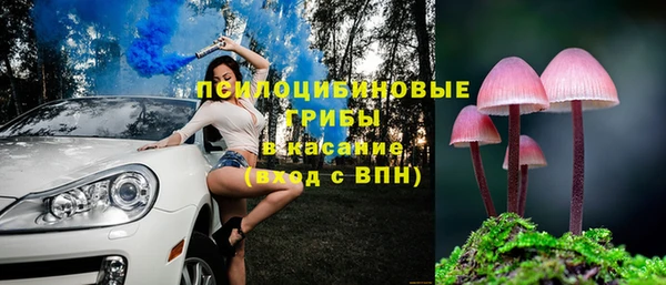 прущие грибы Арсеньев