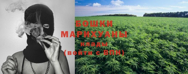 винт Аркадак