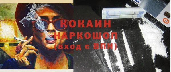 прущие грибы Арсеньев