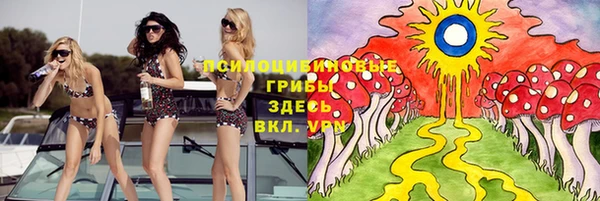винт Аркадак