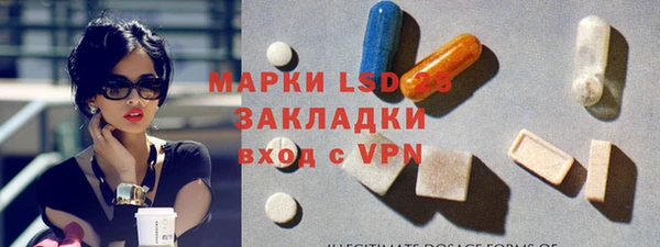 винт Аркадак